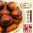 【ふるさと納税】【2025年 秋 先行予約】生栗 栗 ぽろたん 選べる サイズ(3L 4L) 内容量(1kg 2kg) 国産 国産栗 和栗 ギフト プレゼント 秋 旬 おやつ スイーツ 果物 フルーツ 焼き栗 栗ご飯 栗きんとん 栗おこわ アカツファーム 笠間 栗生産量 日本一 いばらき