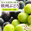 【ふるさと納税】深谷果樹園の厳選!欧州ぶどうのおまかせ2〜3種(約2kg)