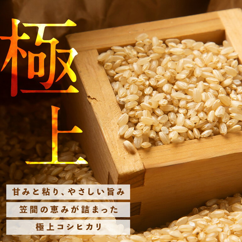 【ふるさと納税】玄米 コシヒカリ 10kg 令和7年産 米 お米 コメ こしひかり ご飯 ごはん げんまい 国産 おにぎり 弁当 10キロ R7年産 小西農産 笠間市 かさま 茨城県 いばらき