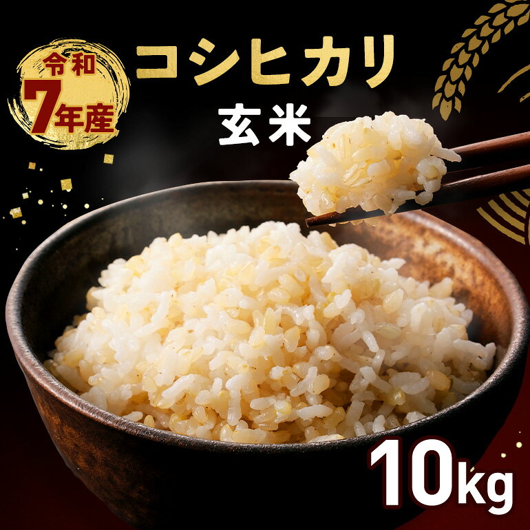 玄米 コシヒカリ 10kg 令和7年産 米 お米 コメ こしひかり ご飯 ごはん げんまい 国産 おにぎり 弁当 10キロ R7年産 小西農産 笠間市 かさま 茨城県 いばらき