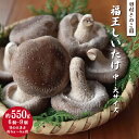 【ふるさと納税】福王しいたけ 中〜大サイズ 約550g しいたけ 椎茸