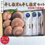 【ふるさと納税】【2024年11月発送】福王しいたけ 干し椎茸 セット しいたけ 椎茸