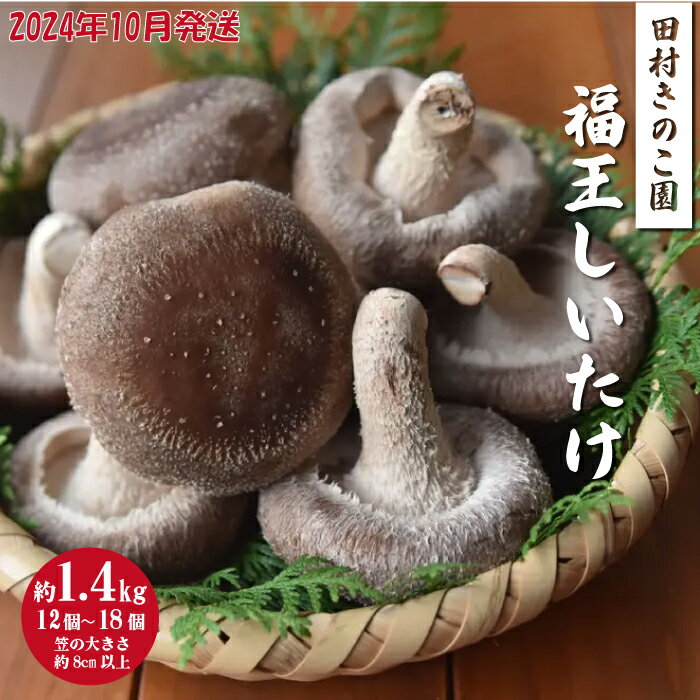 【ふるさと納税】【2024年10月発送】福王しいたけ 約1.4kg しいたけ 椎茸