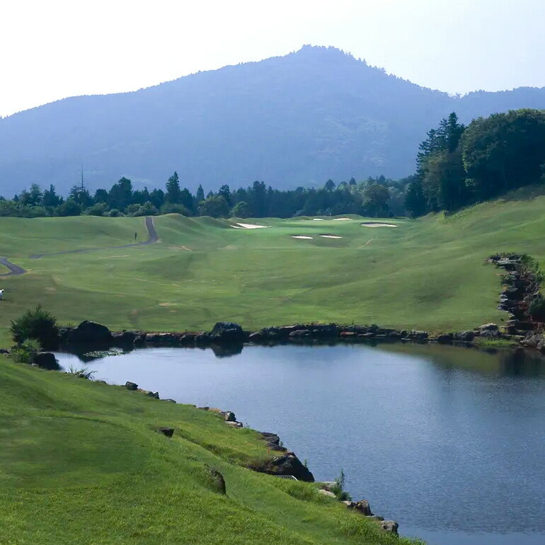 【ふるさと納税】平日4名様 ゴルフプレー券【石岡ウエストカントリークラブ】