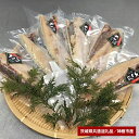 【ふるさと納税】 大トロ さば文化干し 6枚(茨城県共通返礼品・神栖市産)(4)