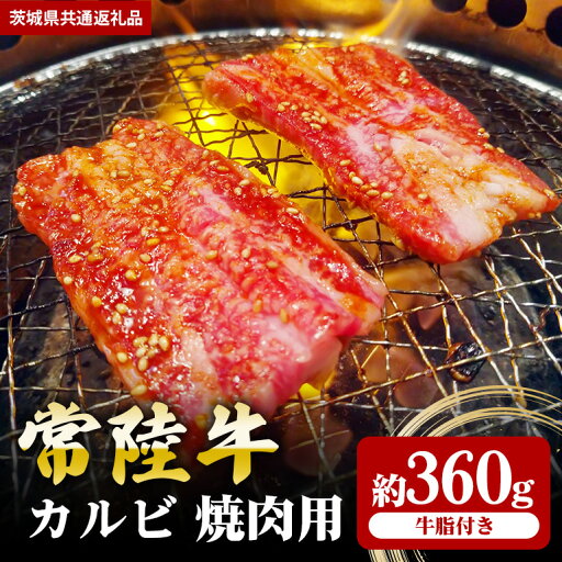 【ふるさと納税】常陸牛 カルビ 360g 焼肉 (茨城県共通返礼品) 【ふるさと納税】常陸牛 カルビ 360g 焼肉 (茨城県共通返礼品)