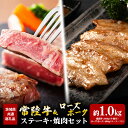 【ふるさと納税】ステーキ 常陸牛 600g ローズポーク 焼肉 400g セット (茨城県共通返礼品)