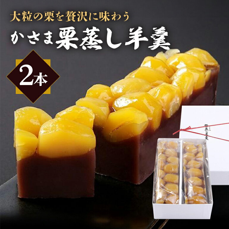 【ふるさと納税】笠間の栗蒸し羊羹 2本 箱入り 羊羹 栗 蒸し羊羹 ヨウカン 和菓子 笠間市 茨城県のサムネイル