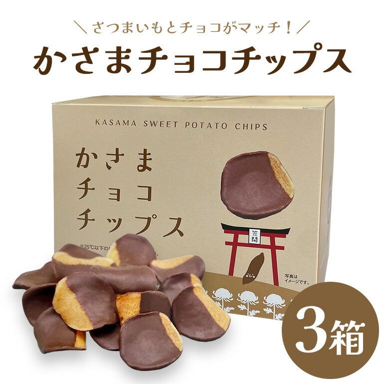 【ふるさと納税】かさま チョコチップス × 3箱