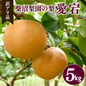 【ふるさと納税】【 訳あり 】柴沼梨園の梨( 新高 ) 梨 5kg 大玉 6~14個入り 訳アリ 不揃い ナシ なし 国産 茨城 新高梨 秋 旬 フルーツ 果物 先行予約 【9月下旬~10月上旬発送】 秋の味覚 旬の果物 くだもの 大きい サイズ 品種 産地 茨城県産 家庭用 産地直送 送料無料