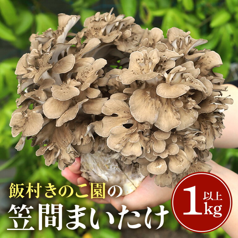 【ふるさと納税】まいたけ 約1kg以上 飯村きのこ園の笠間まいたけのサムネイル