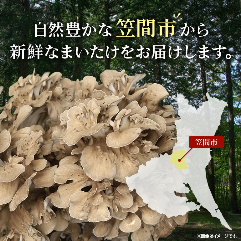 【ふるさと納税】 【3回定期便 】まいたけ 約1kg以上 飯村きのこ園の笠間まいたけ 隔月3回お届け