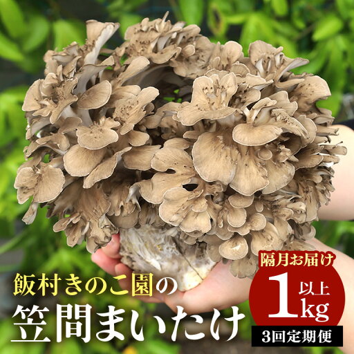 【ふるさと納税】 【3回定期便 】まいたけ 約1kg以上 飯村きのこ園の笠間まいたけ 隔月3回お届け 【ふるさと納税】 【3回定期便 】まいたけ 約1kg以上 飯村きのこ園の笠間まいたけ 隔月3回お届け