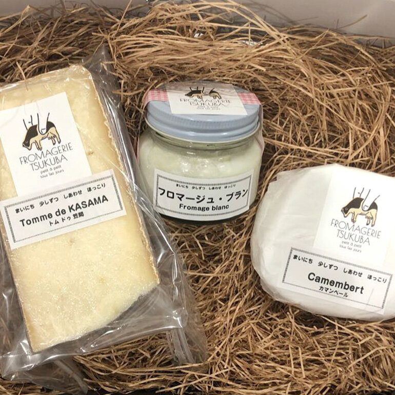 【ふるさと納税】毎日ちょこっと しあわせチーズ FROMAGERIEつくばのおすすめ3点セット