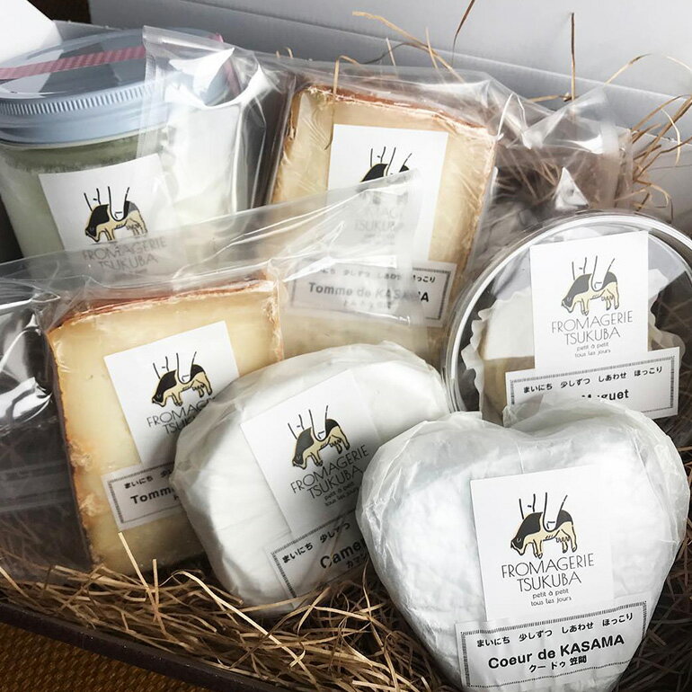 【ふるさと納税】毎日ちょこっと しあわせチーズ FROMAGERIEつくばのおすすめ6点セット
