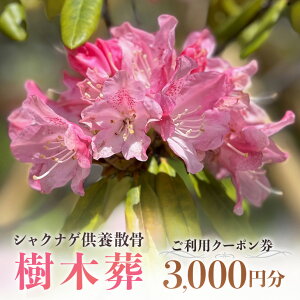【ふるさと納税】自然供養のカンシャ 樹木葬 シャクナゲ供養散骨 ご利用クーポン券 3000円分