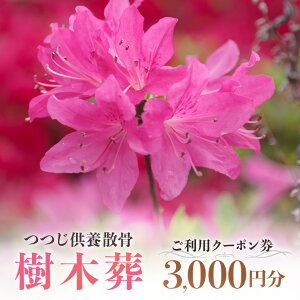 【ふるさと納税】自然供養のカンシャ 樹木葬 つつじ供養散骨 ご利用クーポン 3000円分