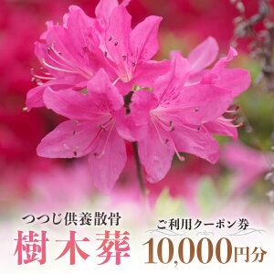 【ふるさと納税】自然供養のカンシャ 樹木葬 つつじ供養散骨 ご利用クーポン 10000円分