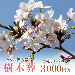 【ふるさと納税】自然供養のカンシャ 樹木葬 さくら供養散骨 ご利用クーポン 3000円分