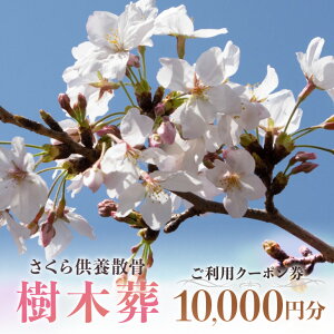 【ふるさと納税】自然供養のカンシャ 樹木葬 さくら供養散骨 ご利用クーポン 10000円分