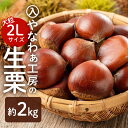 【ふるさと納税】【先行受付】入 やなわぁ工房の生栗 2L 約 2kg 品種おまかせ 農薬不使用 栗 生栗 笠間 くり クリ 大きい 大粒 茨城 国産 国産栗 和...