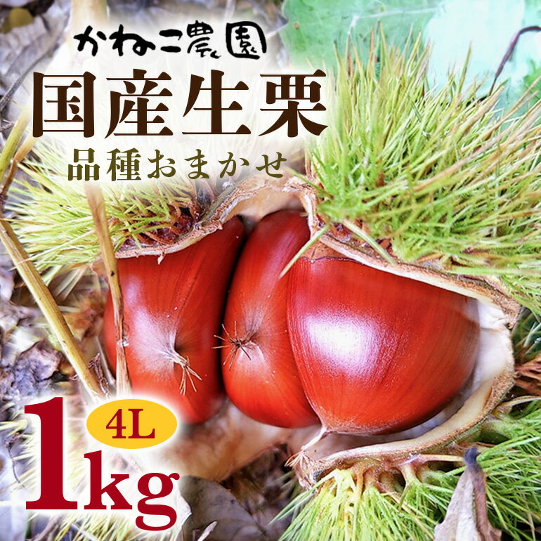 【ふるさと納税】【2025年先行予約】 笠間の栗・かねこ農園の生栗 品種おまかせ1kg(4L) 栗 クリ くり 生栗 茨城県 笠間市 送料無料