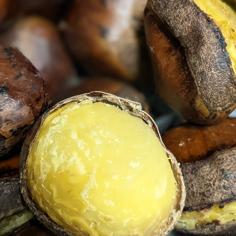 【ふるさと納税】【数量限定・期間限定】笠間の栗・かねこ農園の焼き栗 200g×3袋 栗 クリ くり 焼栗 茨城県 笠間市 送料無料 ＜12月31日まで受付＞