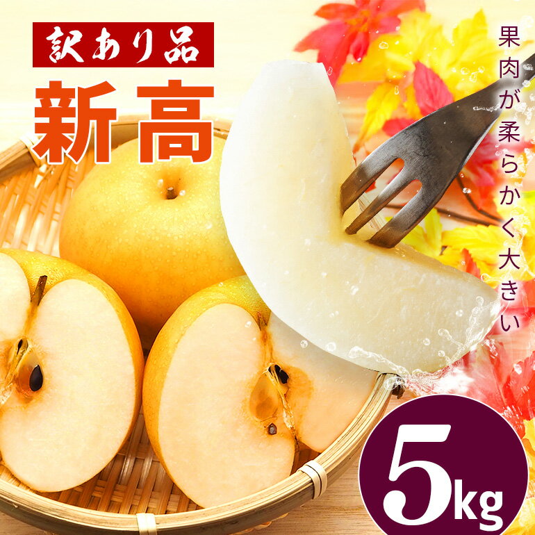 [ 訳あり ] 梨 柴沼梨園 ( 新高 ) 5kg 大玉 6〜14個入り 訳アリ 不揃い ナシ なし 国産 茨城 新高梨 秋 旬 フルーツ 果物 先行予約 [9月下旬〜10月上旬発送] 秋の味覚 旬の果物 くだもの 大きい サイズ 品種 産地 茨城県産 家庭用 産地直送 送料無料