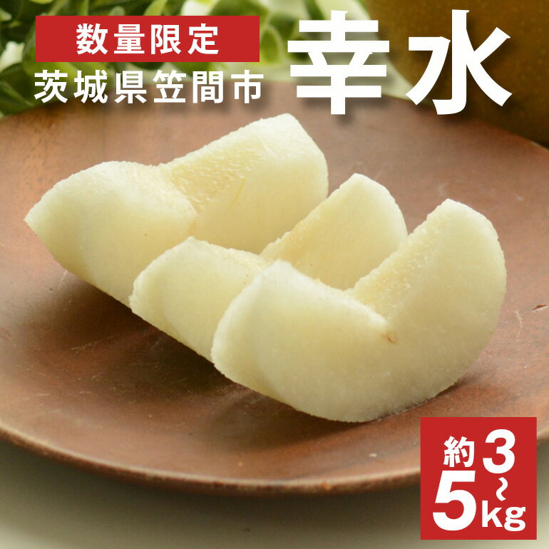 [先行予約][数量限定] 梨 幸水 3kg 5kg 6〜18個入り 大玉 L〜5Lサイズ 柴沼梨園 ナシ なし 国産 茨城 秋 旬 フルーツ 果物 旬の果物 くだもの サイズ 和梨 品種 幸水梨 産地 茨城県 笠間市 くだもの 果肉 酸味 ギフト 贈答用 家庭用 [8月中発送]
