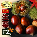【ふるさと納税】【2025年 秋 出荷】生栗 栗 選べる 1kg 2kg 特大 3L 以上 数量限定 国産 和栗 くり スイーツ 果物 フルーツ 栗きんとん モンブラン 栗ご飯 秋 旬 カサマロン 生産量 日本一 笠間 かさま ギフト プレゼント いばらき