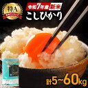 【ふるさと納税】新米 令和7年産 コシヒカリ 特A 米 選べる 5kg 10kg 定期便 30kg (3か月) 60kg (6か月) 白米 こめ こしひかり 国...