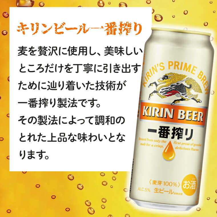【ふるさと納税】キリンビール取手工場産　一番搾り生ビール缶500ml缶-24本×2ケース（AB074）