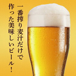【ふるさと納税】キリンビール取手工場産　一番搾り生ビール缶500ml缶-24本×2ケース（AB074） 画像2