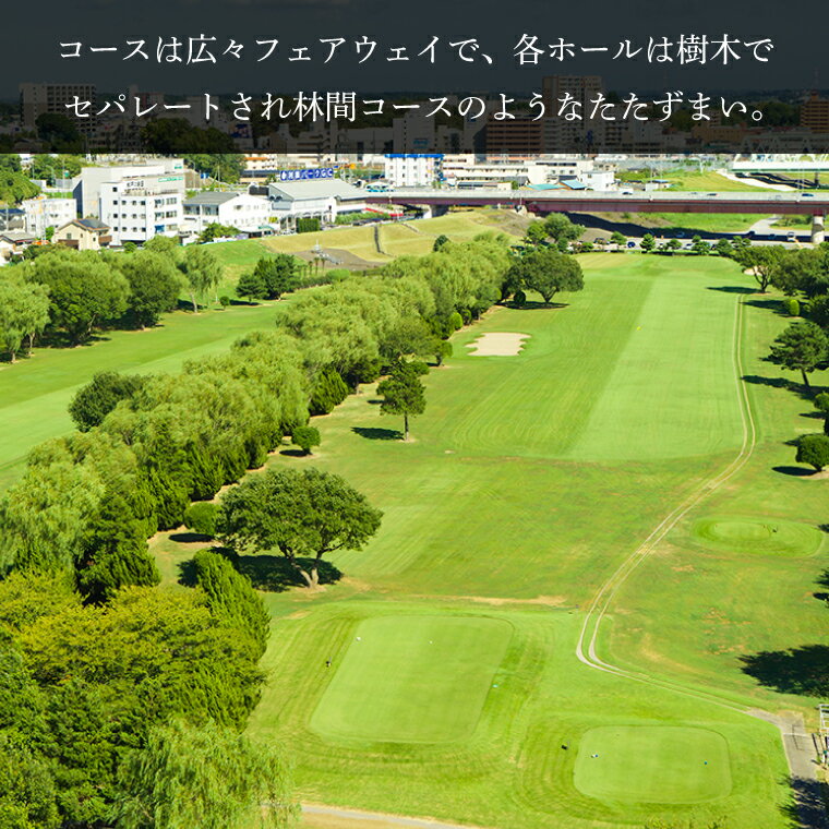 【ふるさと納税】平日1名様プレー券（乗用カートセルフ・ランチ付）（AJ001）利根パークゴルフ場