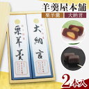 【ふるさと納税】羊羹屋本舗「羊羹」2本セット(AM007)