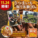 【ふるさと納税】【20組限定!】11/24開催! さつまいも掘り体験と取手市内レストランで味わう取手市産バナナポークのランチ(AS011)