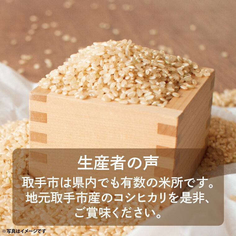 【ふるさと納税】【令和7年度産】取手市産 コシヒカリ 玄米30kg | 米 玄米 こしひかり JA 茨城県 取手市 （AR003）
