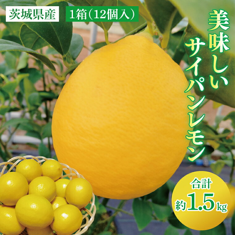 茨城県産 美味しいサイパンレモン 12個入 約1.5kg（BD001）