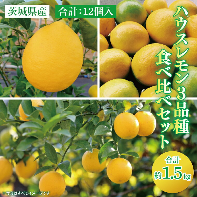 【食べ比べセット】茨城県産 ハウスレモン3品種 12個入り 約1.5kg レモン フルーツ 果物 焼酎割 サワー（BD002）