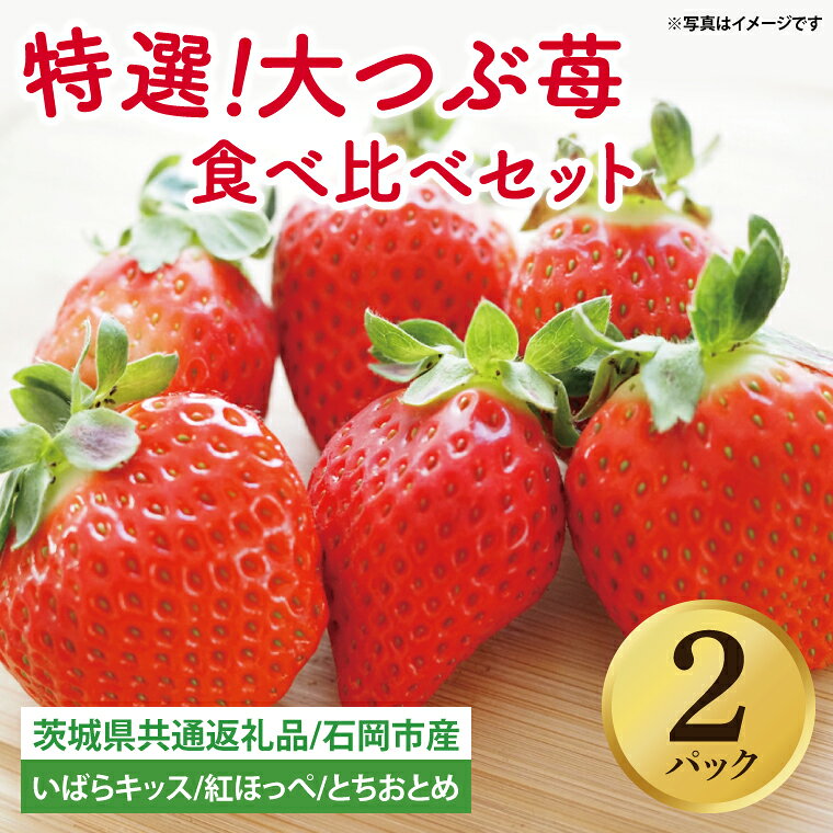 【先行予約】完熟苺 食べ比べセット 2パック【茨城県共通返礼品：石岡市】│ 完熟 いちご イチゴ いばらキッス 紅ほっぺ すず とちおとめ（BH003）