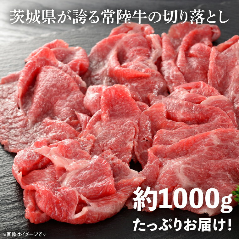 茨城県取手市の画像2