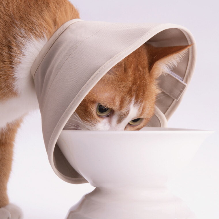 �ڤդ뤵��Ǽ�ǡۤݤݤͤ� �ڤ��ƽ��餫��ǭ�ѥ��ꥶ�٥����顼 �����������ˤ��������եȡ����̥�����(BP013)