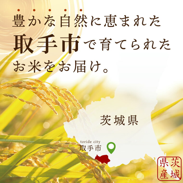 【ふるさと納税】【選べる内容量】【数量限定】R7年産取手市産コシヒカリ 玄米5kg・10kg (BS003)