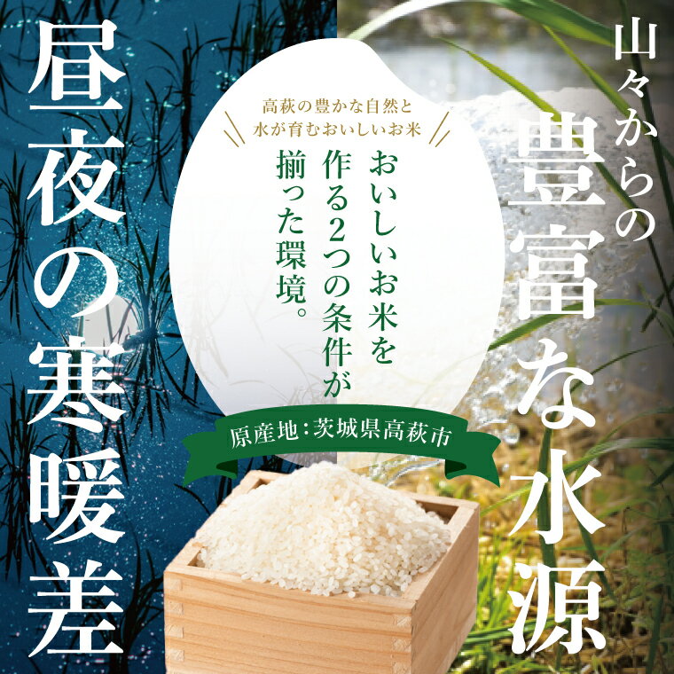 【ふるさと納税】【選べる内容量】コシヒカリ 白米 or 玄米 5kg【茨城県共通返礼品：高萩市】|お米 米 精米 玄米 こしひかり 茨城県 取手市（CB001）