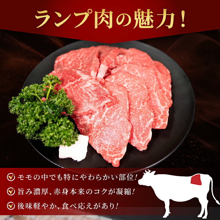【ふるさと納税】常陸牛ランプ肉 焼き肉用 500g|黒毛和牛 国産牛 赤身肉 希少部位 牛肉 人気 茨城県 取手市（AV002） f082171-toride-10001388 茨城県取手市 サンプル画像2