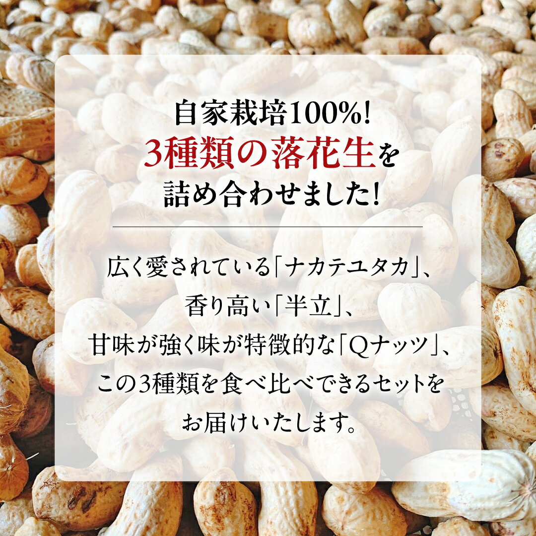 【ふるさと納税】【2025年11月以降発送】牛久市産 落花生 3種食べ比べ3袋セット Qナッツ Qなっつ 半立 はんだち ナカテユタカ 中手豊 ピーナッツ ピーナツ 食べ比べ おやつ おつまみ お菓子 お取り寄せ 詰め合わせ お土産 贈り物 ギフト プチギフト 国産 茨城 特産品 農園