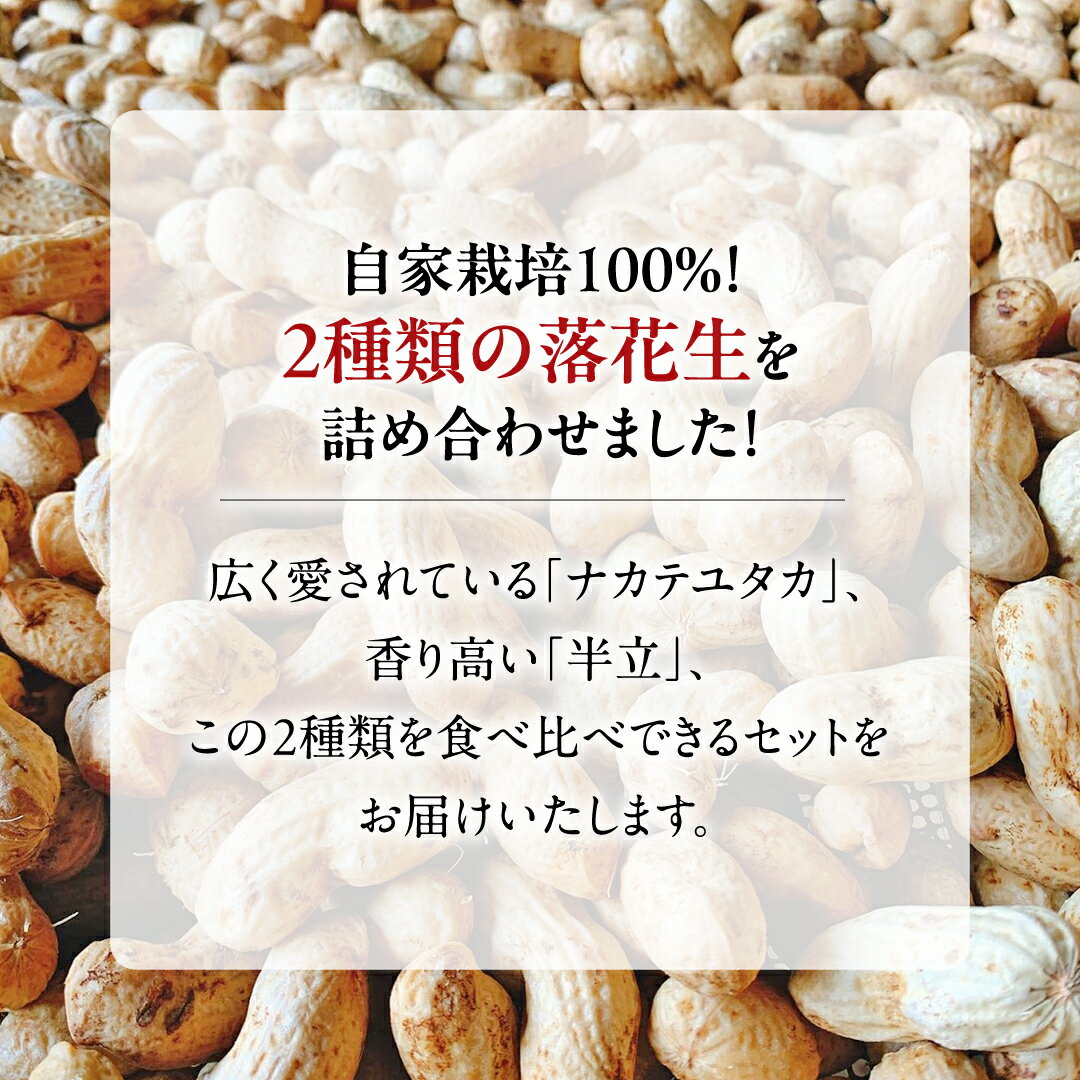 【ふるさと納税】牛久市産 落花生 半立セット ピーナッツ ピーナツ ナカテユタカ 中手豊 半立 はんだち 食べ比べ 農園 自家栽培 有機栽培 おやつ お菓子 おつまみ お取り寄せ 詰め合わせ セット お土産 贈り物 ギフト プチギフト 国産 茨城 特産品 ビールのお供