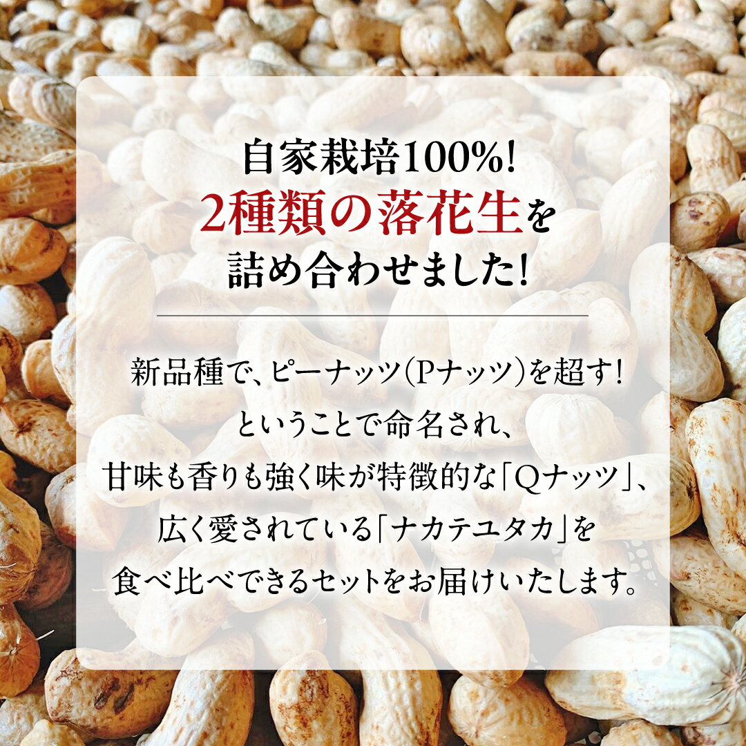 【ふるさと納税】【2025年11月以降発送】牛久市産落花生Qナッツセット Qなっつ ピーナッツ ピーナツ ナカテユタカ 中手豊 殻付き おやつ お菓子 おつまみ お取り寄せ 詰め合わせ お土産 贈り物 ギフト プチギフト 国産 茨城 特産品 農園 自家栽培 ビールのお供
