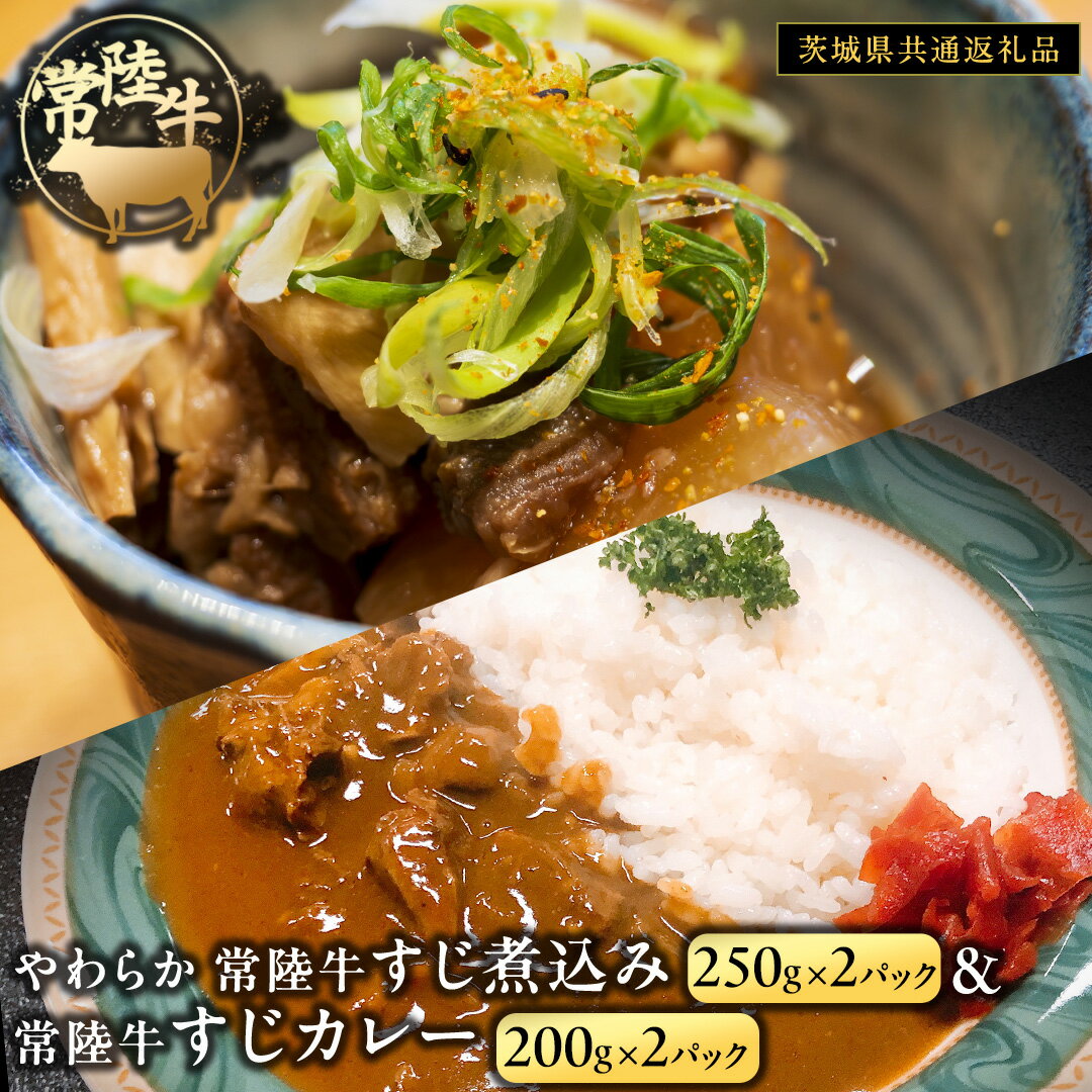 やわらか 常陸牛 すじ煮込み と すじカレー セット 各2パック [茨城県共通返礼品] カレー 牛すじ 煮込み お肉 牛肉 簡単 冷凍 レトルト