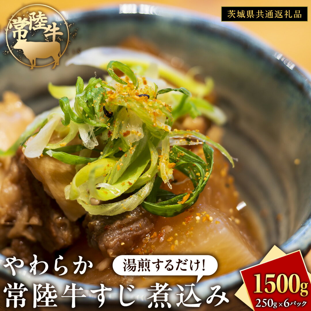 やわらか 常陸牛 すじ 煮込み 250g × 6パック (計 1500g )[茨城県共通返礼品] 牛すじ 牛肉 肉 和牛 にく 牛すじ肉